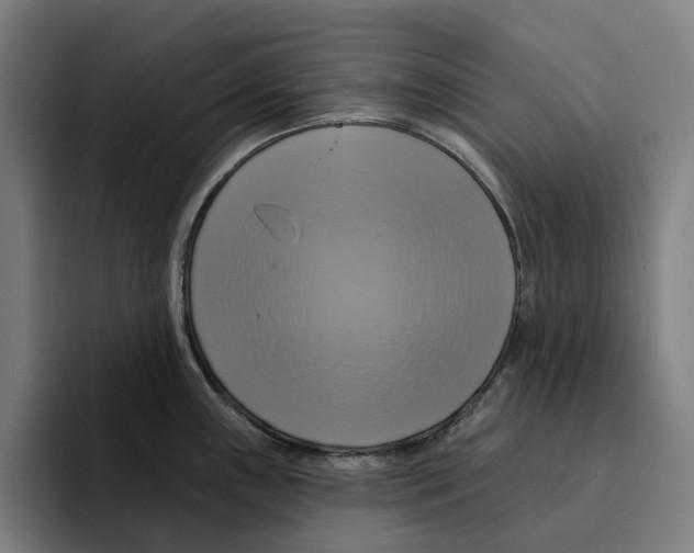 X0000094901243200712271446