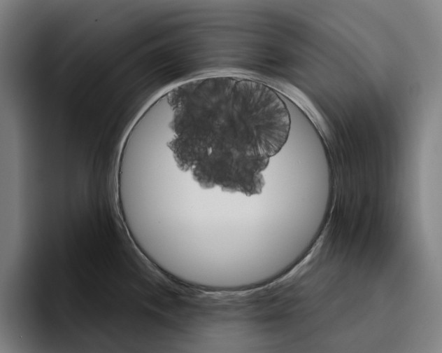 X0000094901244200712271446