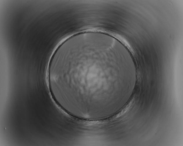 X0000094901247200712271446