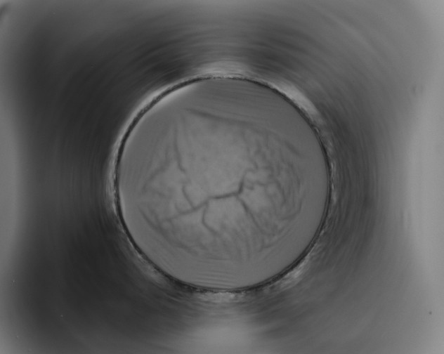 X0000094901248200712271446