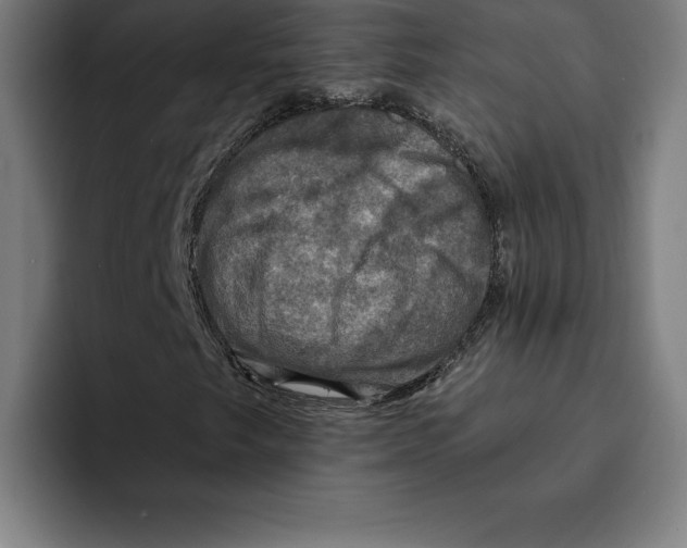 X0000094901249200712271445