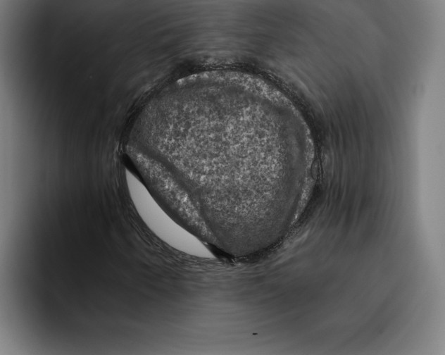 X0000094901250200712271445