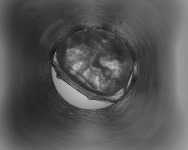 X0000094901251200712271445