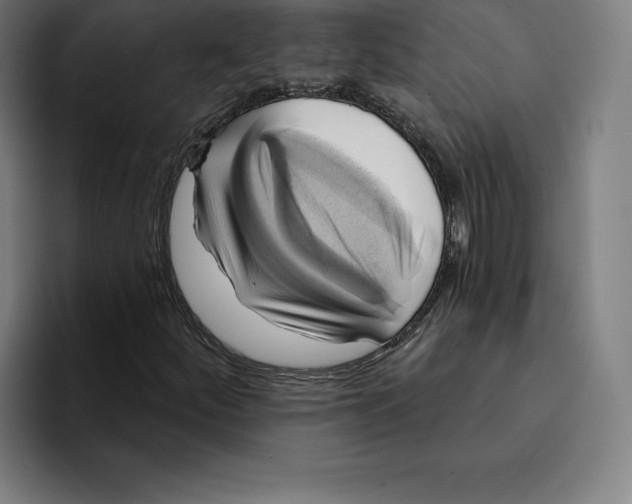 X0000094901252200712271445