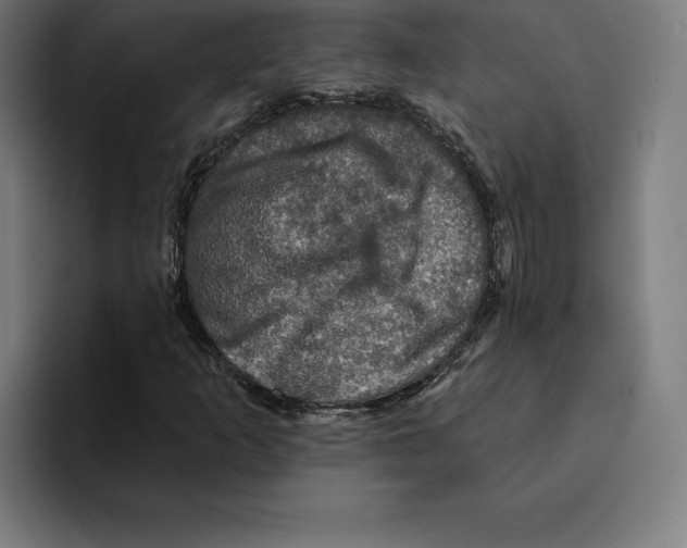 X0000094901253200712271445