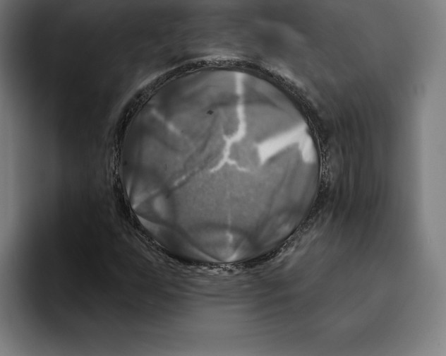 X0000094901255200712271445