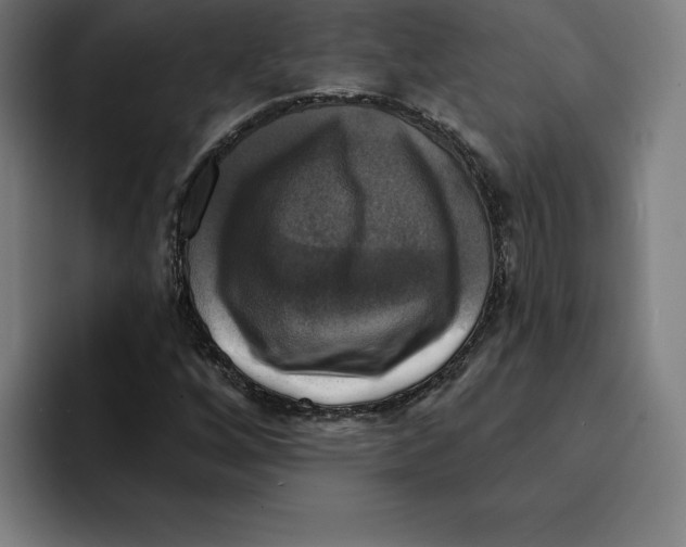 X0000094901256200712271445