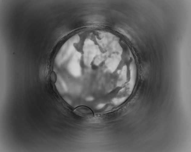 X0000094901259200712271445