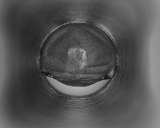 X0000094901260200712271445