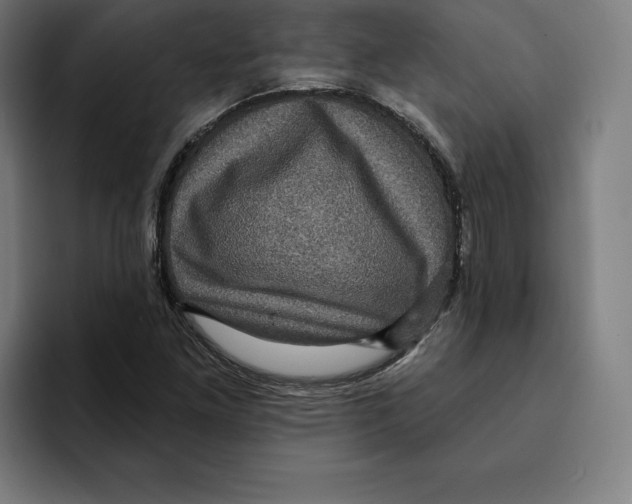 X0000094901261200712271445