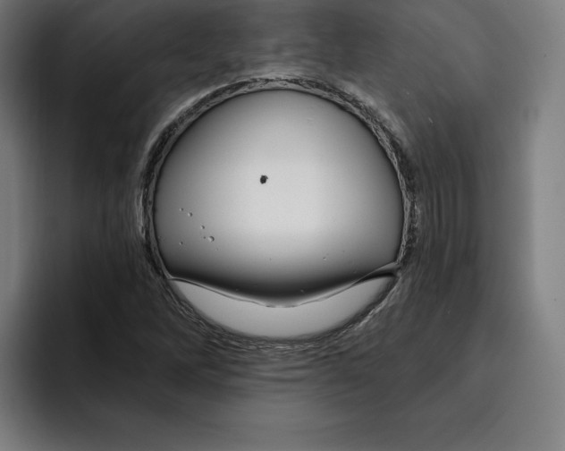 X0000094901262200712271445