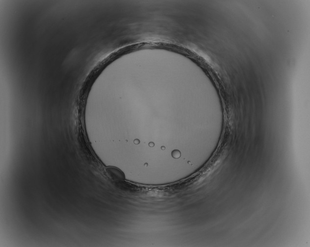 X0000094901263200712271445