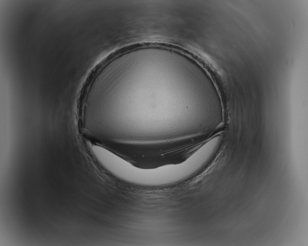 X0000094901264200712271445