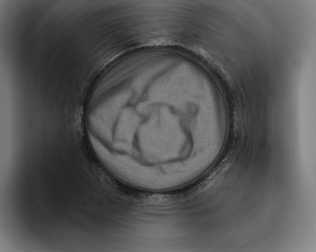 X0000094901265200712271445