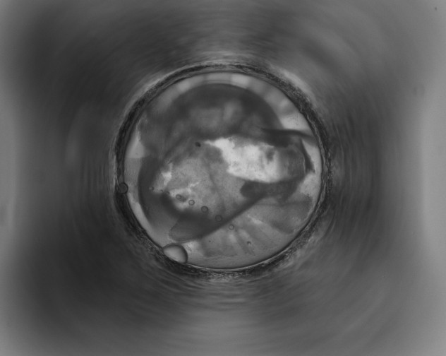 X0000094901267200712271445