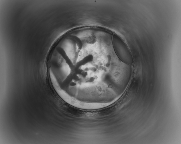 X0000094901271200712271445