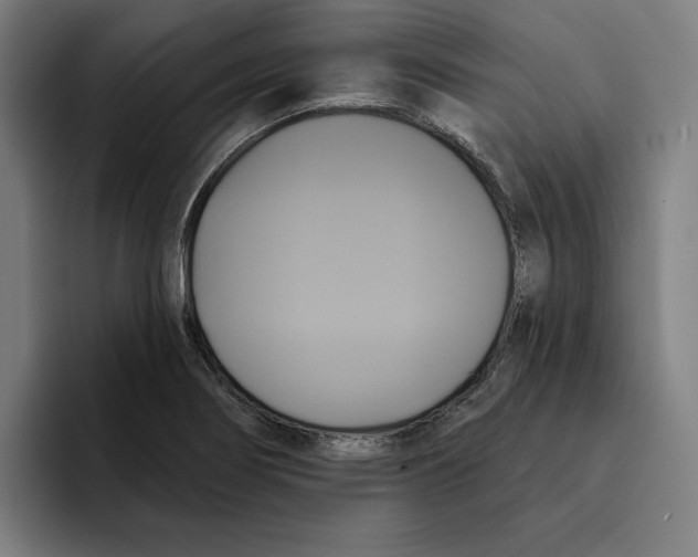 X0000094901274200712271445