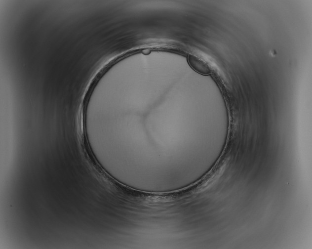 X0000094901275200712271445