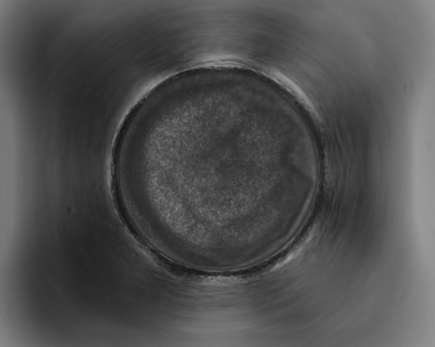 X0000094901277200712271445