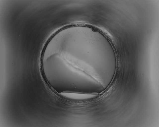 X0000094901279200712271445