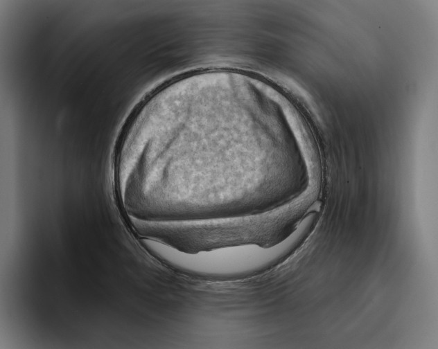 X0000094901280200712271445