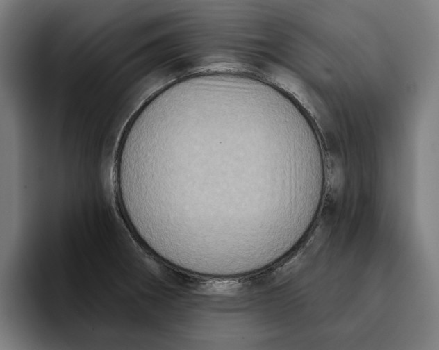 X0000094901282200712271445