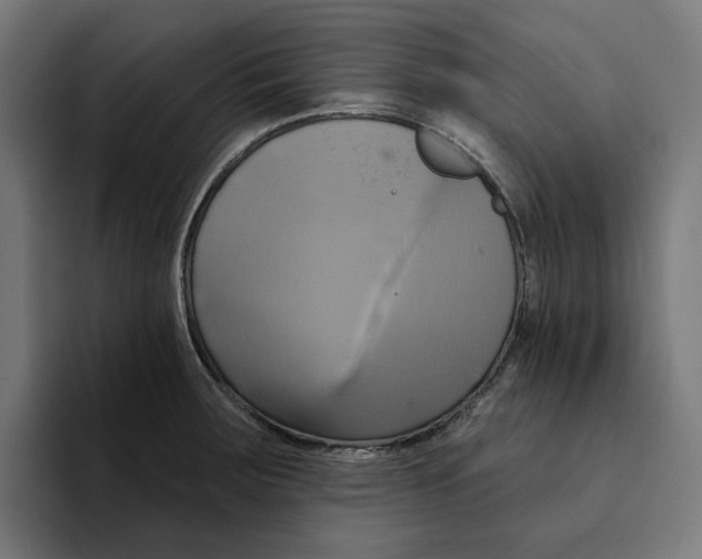 X0000094901283200712271445