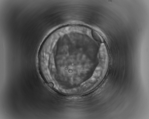 X0000094901287200712271445