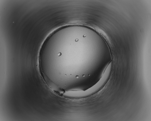 X0000094901288200712271445