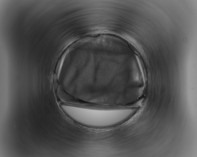 X0000094901289200712271445