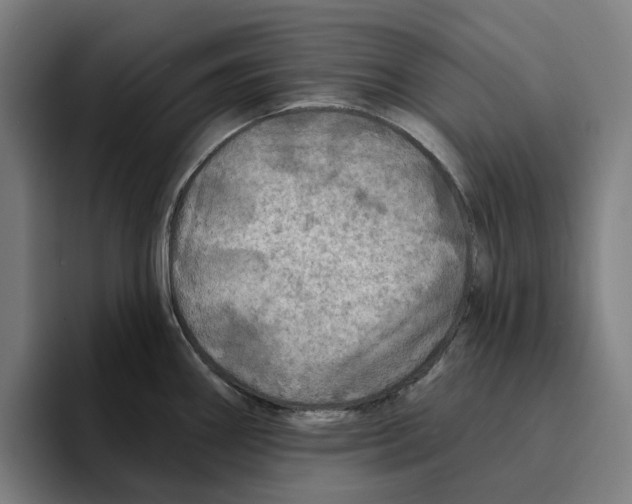 X0000094901290200712271445