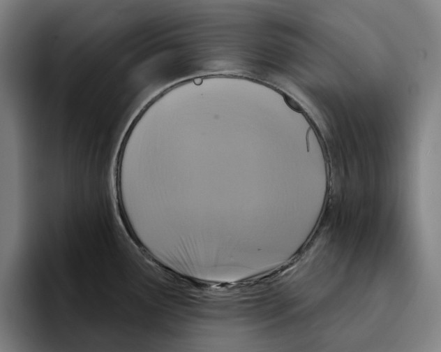 X0000094901291200712271445