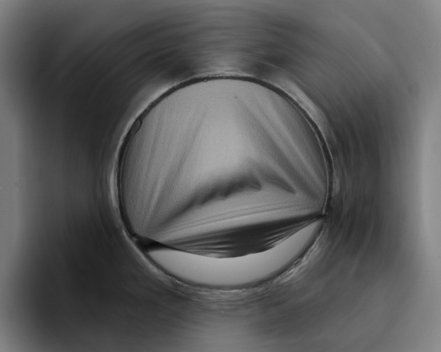 X0000094901293200712271445