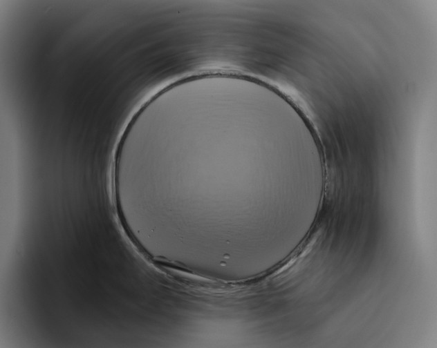 X0000094901295200712271445