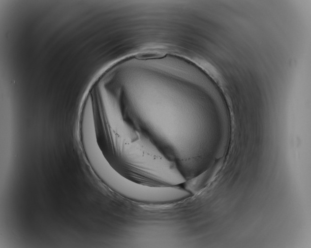 X0000094901296200712271445