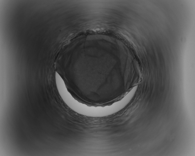 X0000094901298200712271444