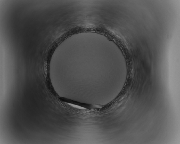 X0000094901301200712271444