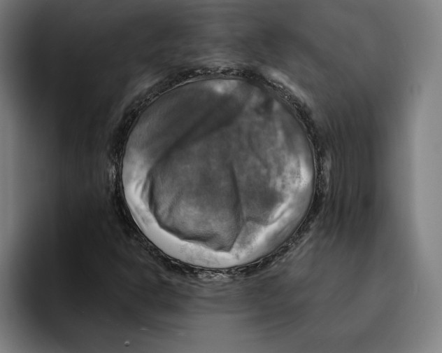 X0000094901302200712271444