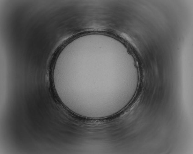 X0000094901307200712271444