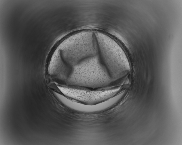 X0000094901308200712271444