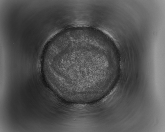 X0000094901309200712271444