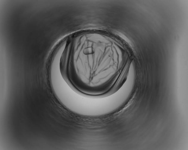 X0000094901310200712271444