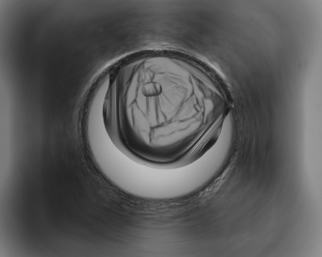 X0000094901311200712271444