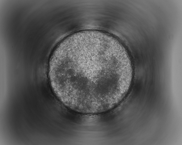 X0000094901314200712271444