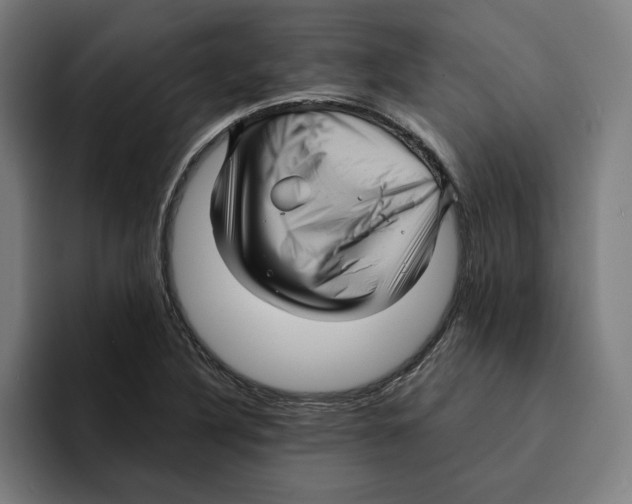 X0000094901316200712271444