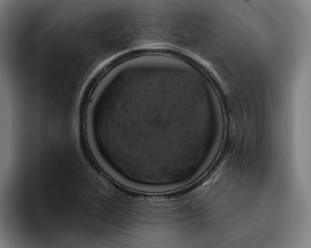 X0000094901319200712271444