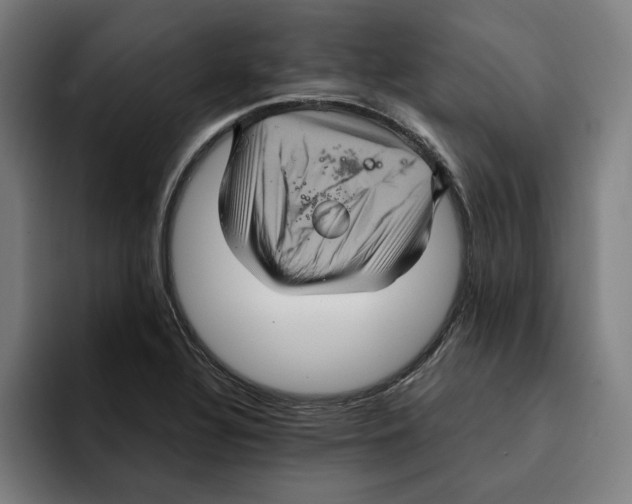 X0000094901320200712271444