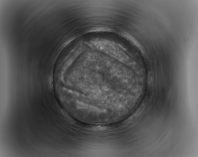 X0000094901321200712271444