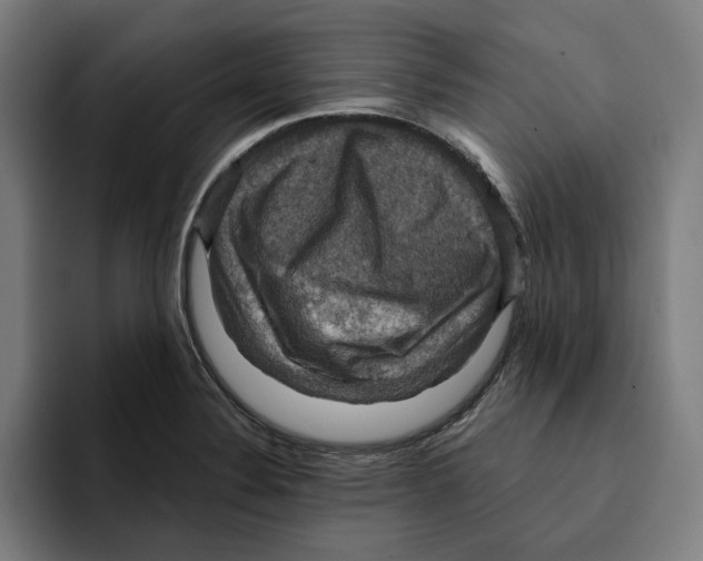 X0000094901324200712271444