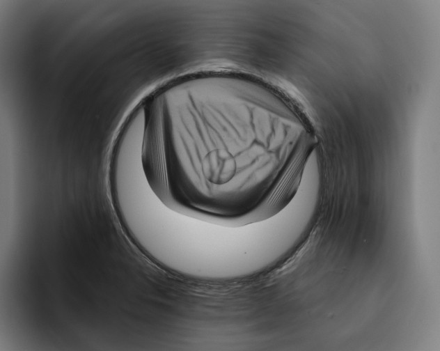 X0000094901326200712271444